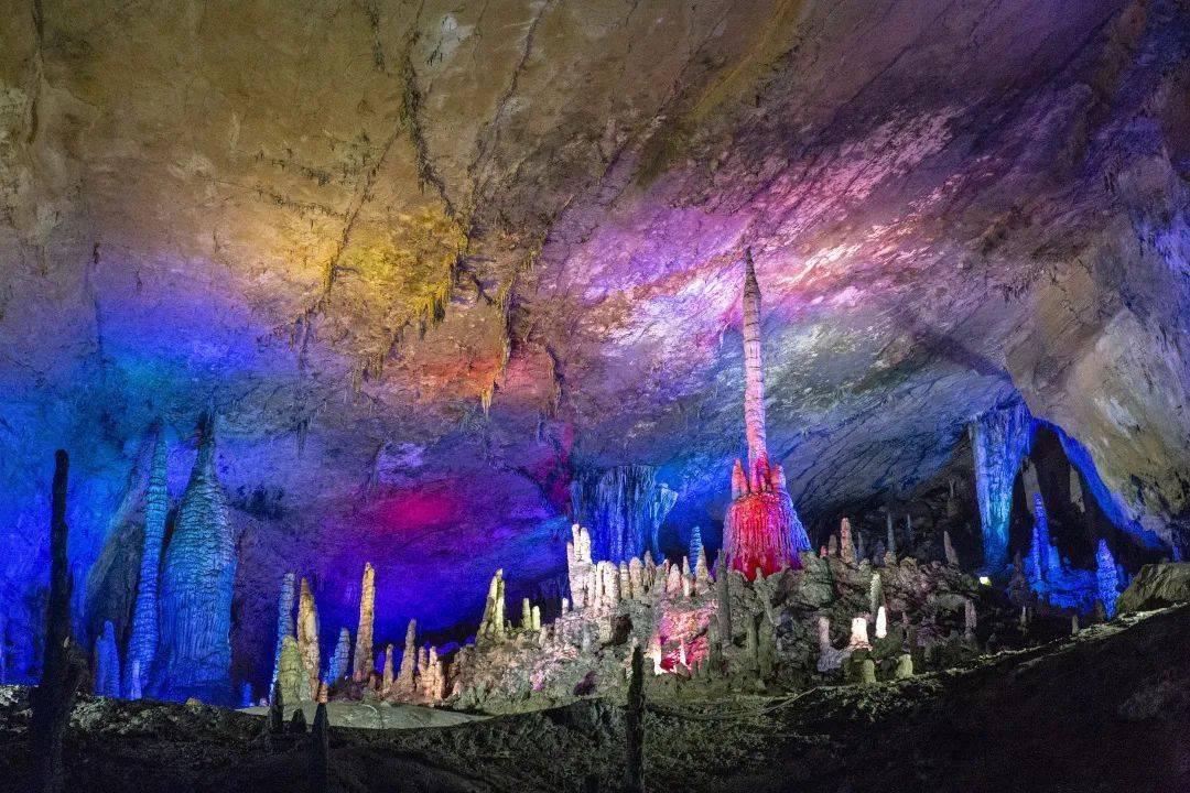 逃离白鸽之森